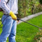 PEST CONTROL SOLUTIONS FOR MINNESOTA HOMES