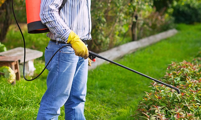 PEST CONTROL SOLUTIONS FOR MINNESOTA HOMES