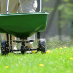 Why Is Lawn Fertilization Important?