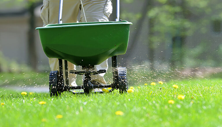 Why Is Lawn Fertilization Important?