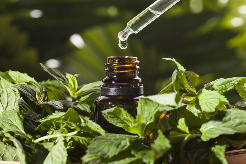 Can You Spray Peppermint Oil On Plants